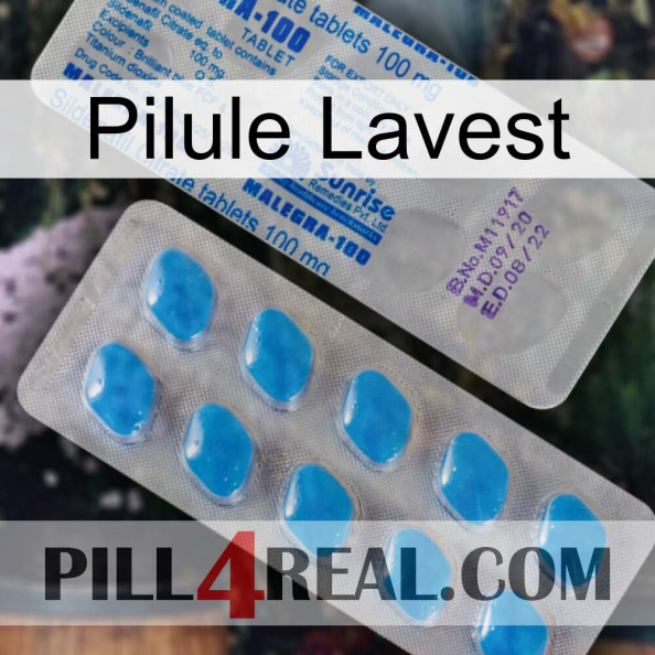 Lavest Pill new15.jpg